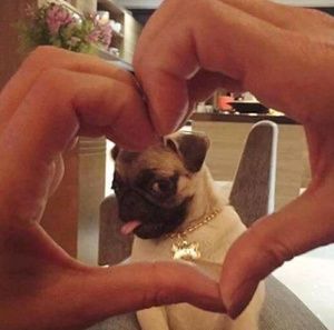 Meet your Posher, Ezra